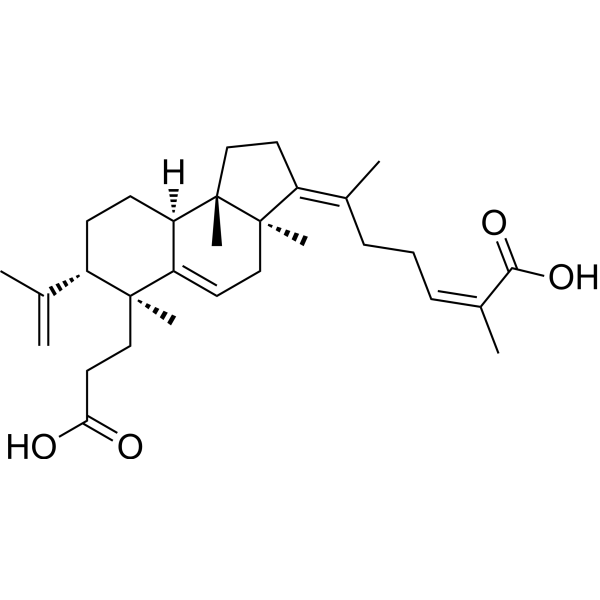 Kadsuracoccinic acid A