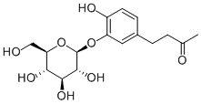Myzodendrone