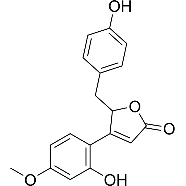 Puerol B