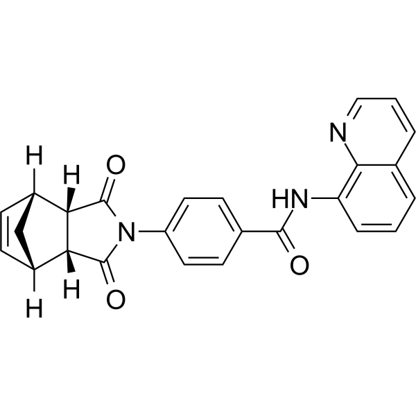 IWR-1-endo