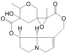 Adonifoline