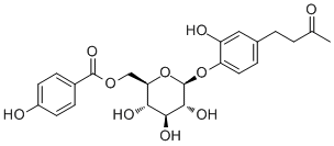 Salviaplebeiaside