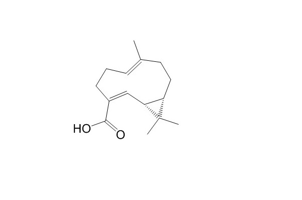 Volvalerenic acid A