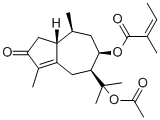 Torilin