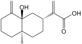 5alpha-Hydroxycostic acid