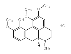(+)-Isocorydine hydrochloride