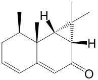 Kanshone H