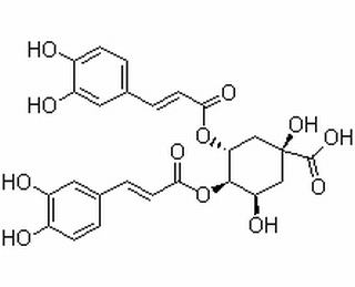 Isochlorogenic acid B