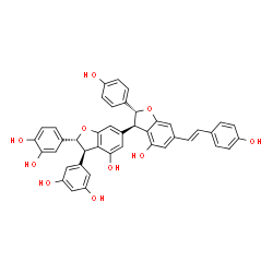 Gnetin J