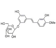 Rhaponiticin
