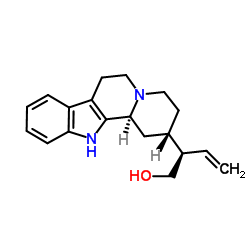 Antirhine
