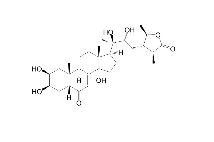 Cyasterone