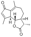 Leucodin