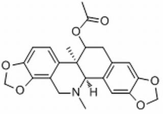 Acetylcorynoline