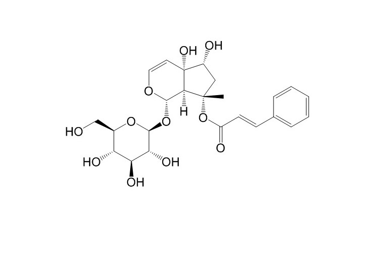 Harpagoside