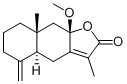 8beta-Methoxyatractylenolide I