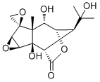 Isohyenanchin