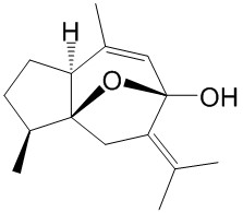 Curcumenol