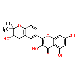 Glycyrrhiza flavonol A