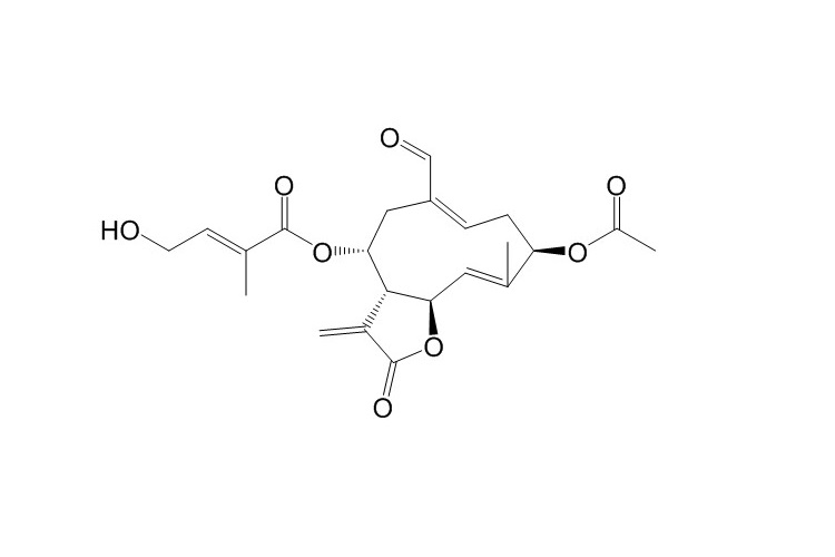Eupalinolide O