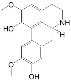 Norisoboldine