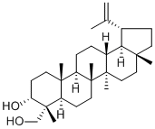 20(29)-Lupene-3,23-diol