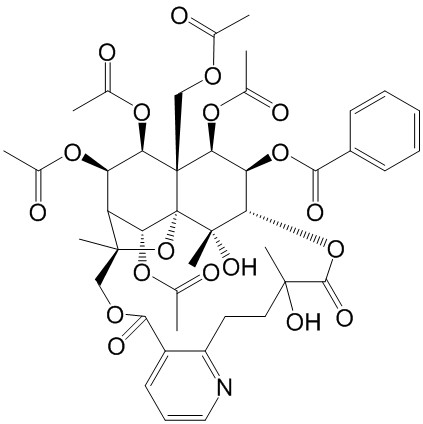 Wilfordine