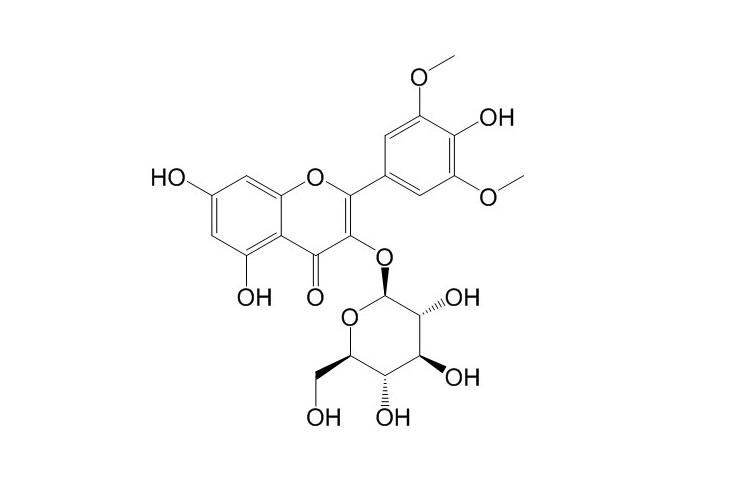 Syringetin-3-O-glucoside