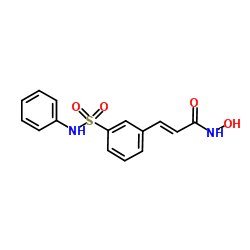 Belinostat (PXD101)