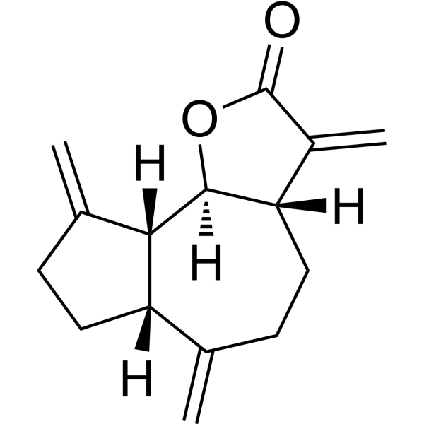 Dehydrocostus lactone