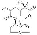 Seneciphylline