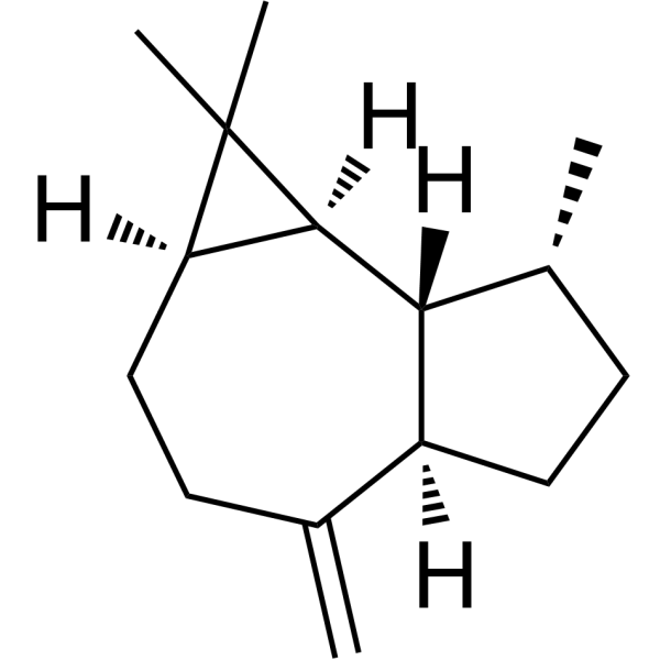 Aromadendrene
