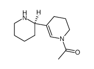 Isoammodendrine