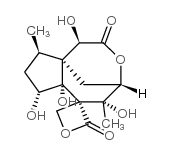 Anisatin