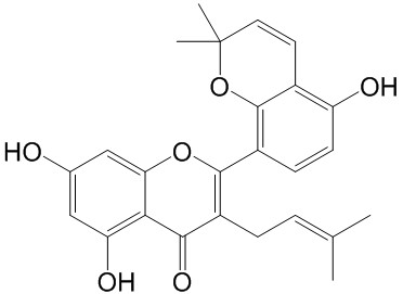 Kuwanon A