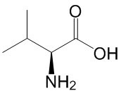 L-Valine