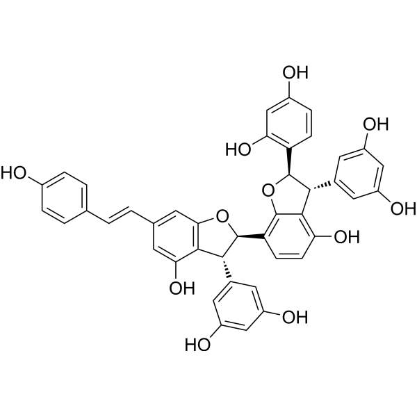 Gnetumontanin B