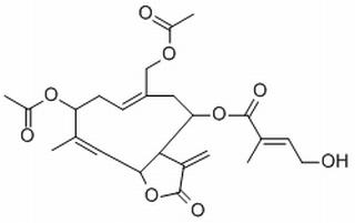 Eupalinolide A
