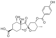 Glochicoccin D
