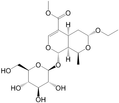 7-O-ethyl-morroniside